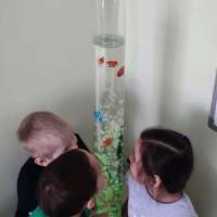 Воздушно-пузырьковая колонна в работе с детьми с ОВЗ.