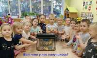 Создание вместе с детьми макета аквариума  для уголка природы в группе «Зайчата».