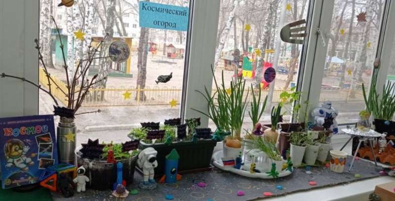 «Космический огород» у Пчелят.