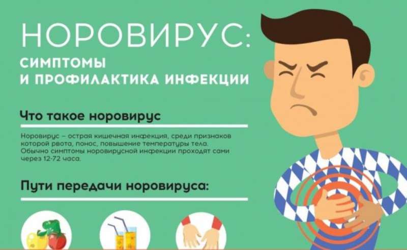 Норовирусная инфекция (НОРОВИРУС)