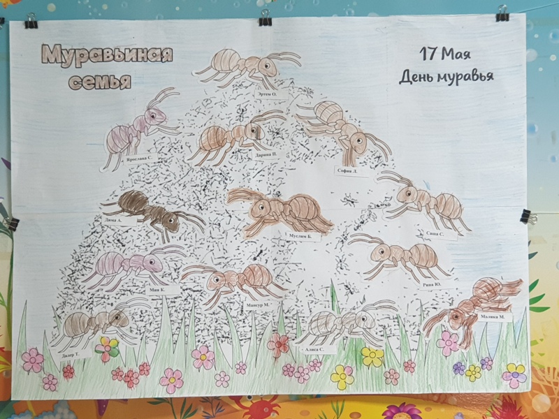 «Знают все: у муравья - очень дружная семья!».