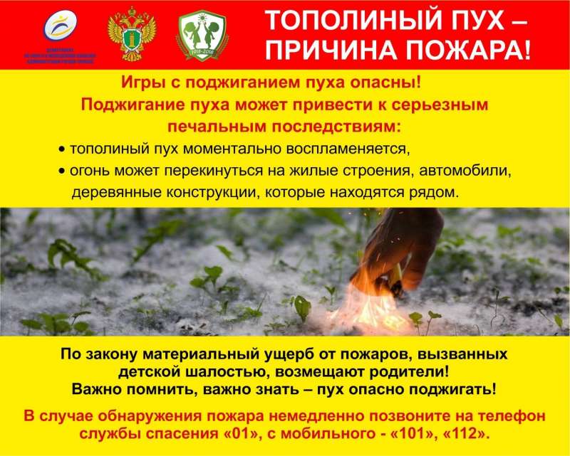"Тополиный пух - причина пожара!"