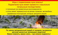 "Тополиный пух - причина пожара!"