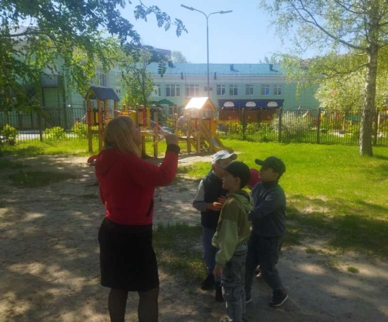 Наши увлекательные прогулки.